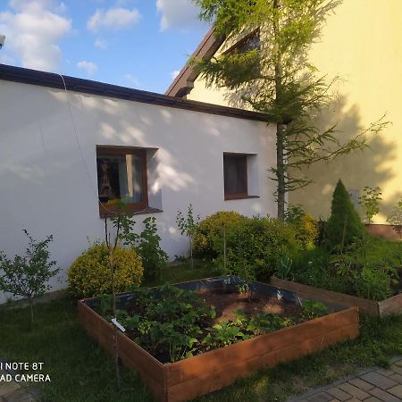 Apartament Gniezno - Mnichowo Buitenkant foto
